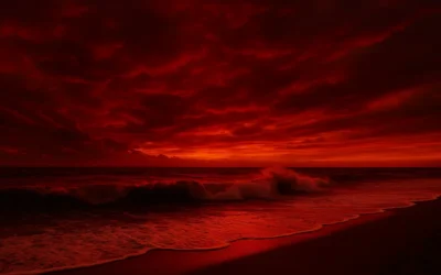 كلمات أغنية ماه عسل | Mahe Asal | أغنية الحب التي هزّت القلوب