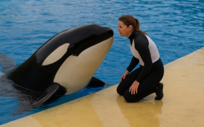 حقيقة جيسيكا رادكليف وحوادث الحيتان القاتلة الحقيقية